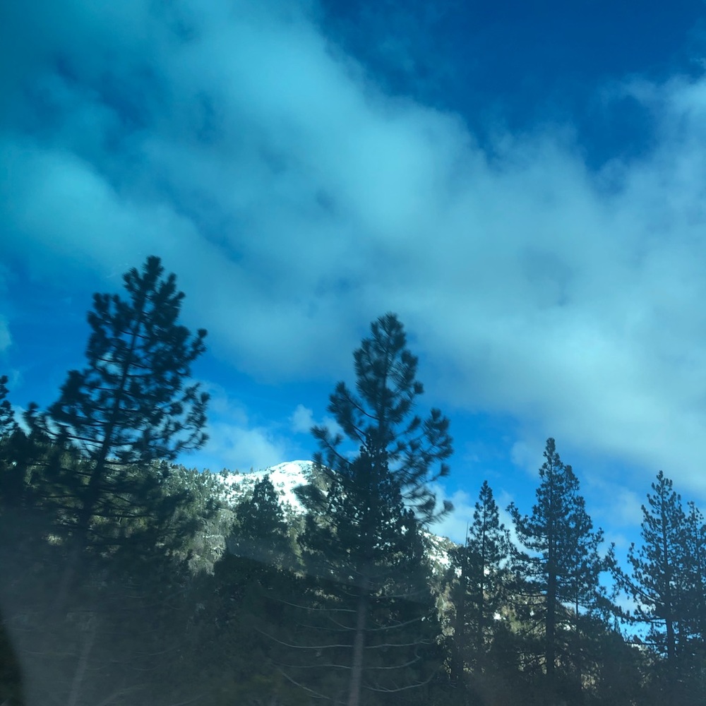 Meet your Posher, Ariana